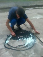 /album/fotogaleria/a1gal-jpg/